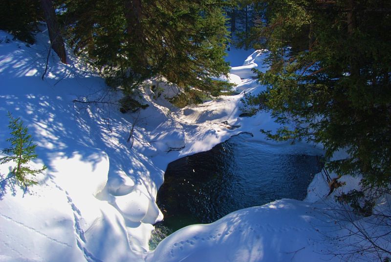 randonnee raquettes la foux d allos