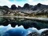Randonnée montagne  lac d'Allos - La flore du Mercantour - Marque esprit parc national