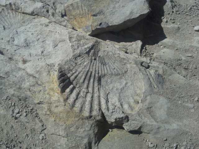 verdon tourisme - geologie